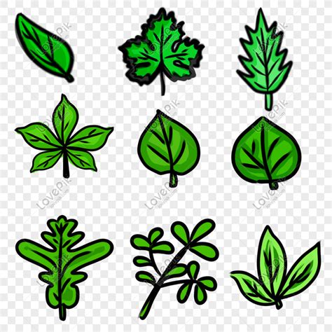 leaf png|Iba pa.